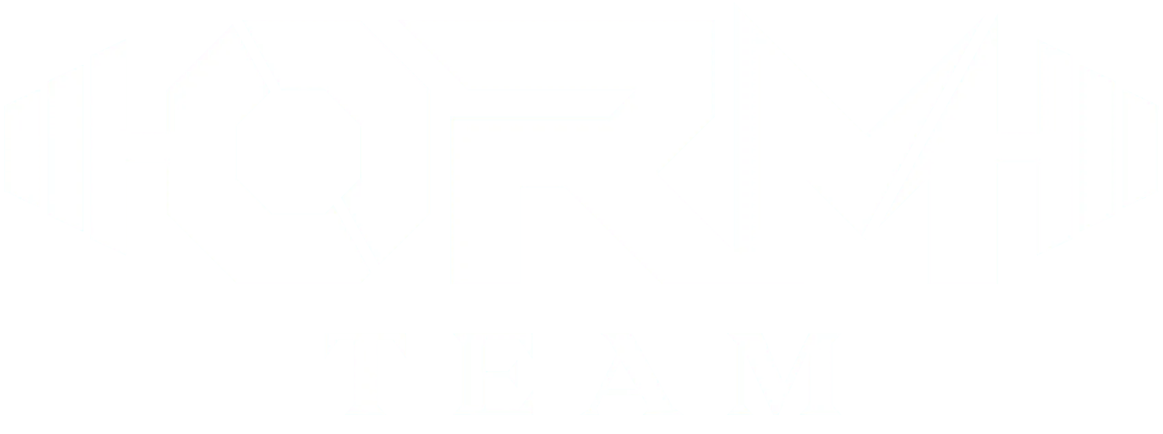 Logo ORM Team